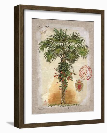 Linen Fan Palm Tree-Chad Barrett-Framed Art Print