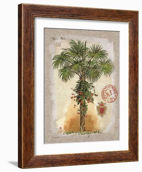 Linen Fan Palm Tree-Chad Barrett-Framed Art Print