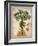 Linen Fan Palm Tree-Chad Barrett-Framed Art Print