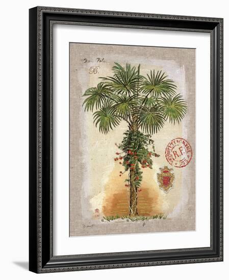 Linen Fan Palm Tree-Chad Barrett-Framed Art Print