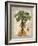 Linen Fan Palm Tree-Chad Barrett-Framed Art Print