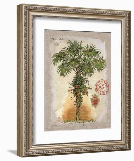 Linen Fan Palm Tree-Chad Barrett-Framed Art Print