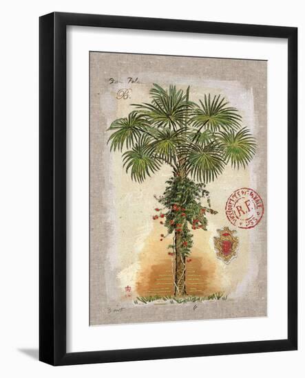 Linen Fan Palm Tree-Chad Barrett-Framed Art Print