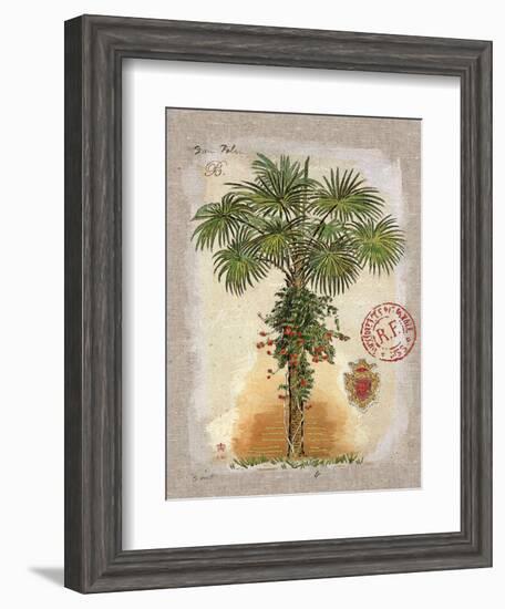 Linen Fan Palm Tree-Chad Barrett-Framed Art Print