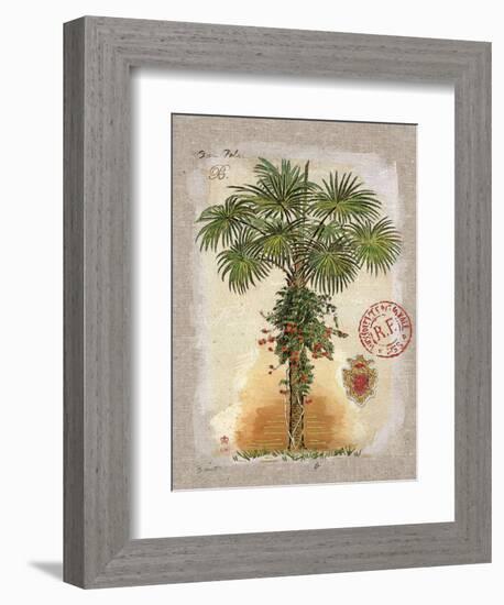 Linen Fan Palm Tree-Chad Barrett-Framed Art Print