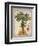 Linen Fan Palm Tree-Chad Barrett-Framed Art Print