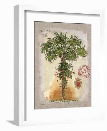 Linen Fan Palm Tree-Chad Barrett-Framed Art Print