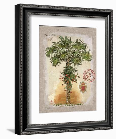 Linen Fan Palm Tree-Chad Barrett-Framed Art Print