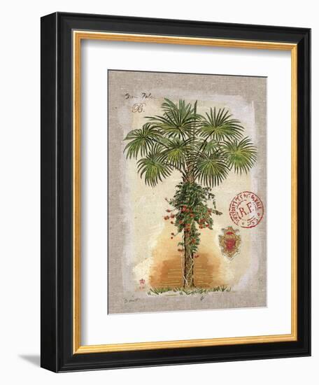 Linen Fan Palm Tree-Chad Barrett-Framed Art Print