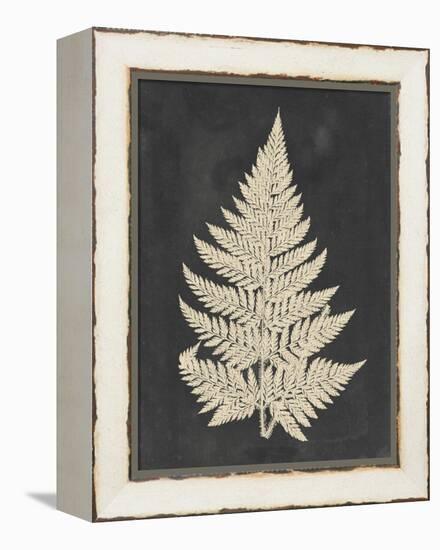 Linen Fern I-Vision Studio-Framed Stretched Canvas