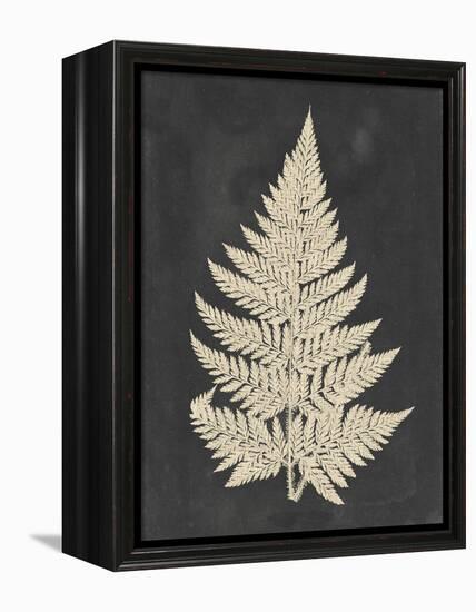 Linen Fern I-Vision Studio-Framed Stretched Canvas