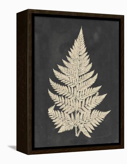 Linen Fern I-Vision Studio-Framed Stretched Canvas