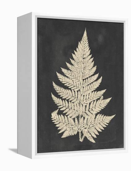 Linen Fern I-Vision Studio-Framed Stretched Canvas