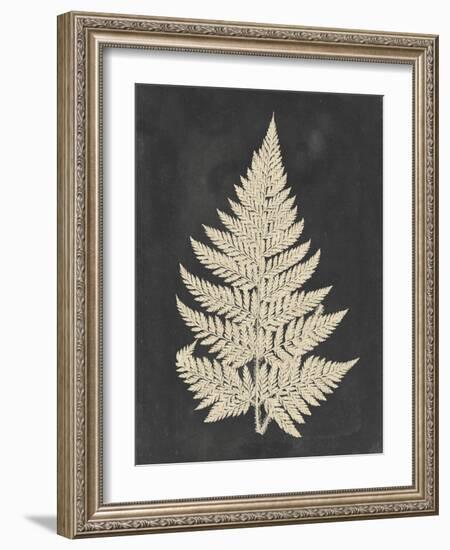 Linen Fern I-Vision Studio-Framed Art Print