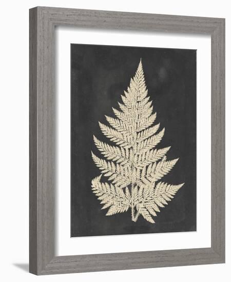 Linen Fern I-Vision Studio-Framed Art Print