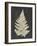 Linen Fern I-Vision Studio-Framed Art Print