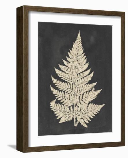 Linen Fern I-Vision Studio-Framed Art Print