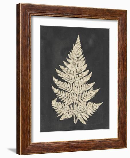 Linen Fern I-Vision Studio-Framed Art Print