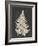 Linen Fern I-Vision Studio-Framed Art Print