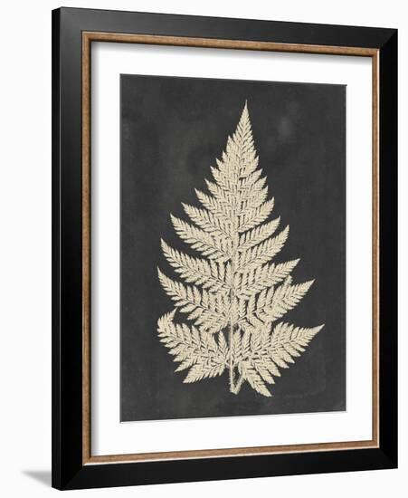 Linen Fern I-Vision Studio-Framed Art Print