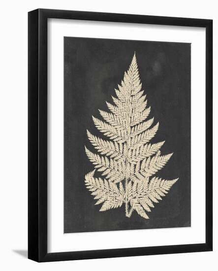 Linen Fern I-Vision Studio-Framed Art Print