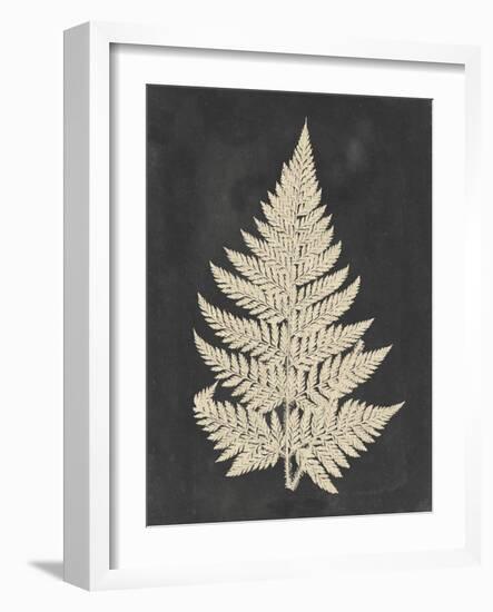 Linen Fern I-Vision Studio-Framed Art Print