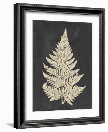 Linen Fern I-Vision Studio-Framed Art Print