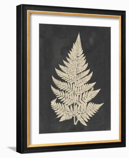 Linen Fern I-Vision Studio-Framed Art Print