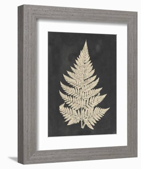 Linen Fern I-Vision Studio-Framed Art Print