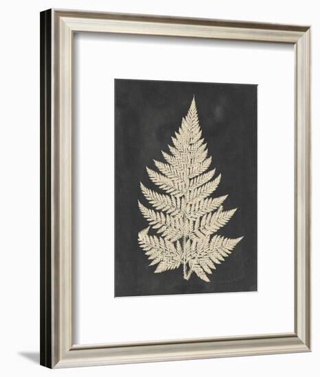 Linen Fern I-Vision Studio-Framed Art Print