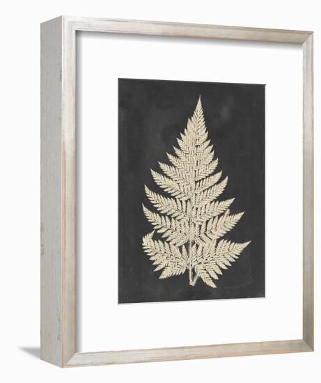 Linen Fern I-Vision Studio-Framed Art Print