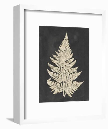 Linen Fern I-Vision Studio-Framed Art Print