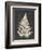 Linen Fern I-Vision Studio-Framed Art Print