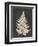 Linen Fern I-Vision Studio-Framed Art Print