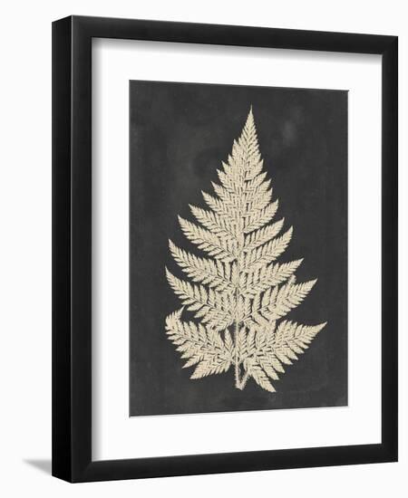 Linen Fern I-Vision Studio-Framed Art Print