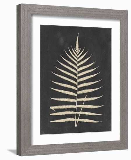 Linen Fern III-Vision Studio-Framed Art Print