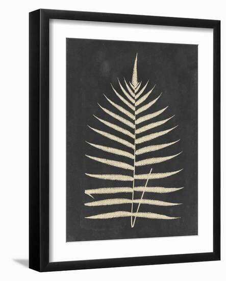 Linen Fern III-Vision Studio-Framed Art Print