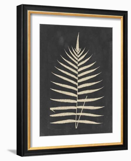 Linen Fern III-Vision Studio-Framed Art Print