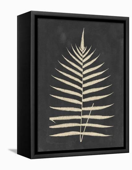 Linen Fern III-Vision Studio-Framed Stretched Canvas