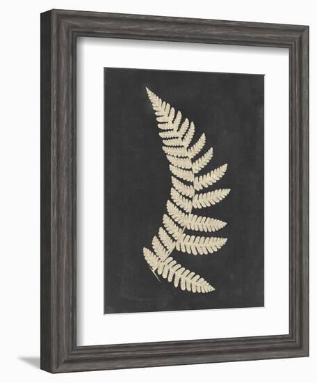 Linen Fern IV-Vision Studio-Framed Art Print