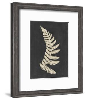 Linen Fern IV-Vision Studio-Framed Art Print