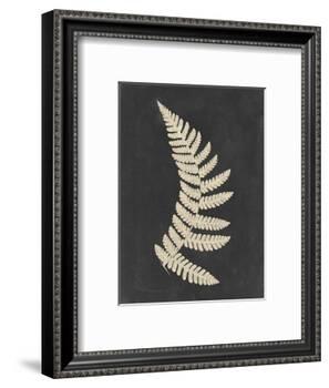 Linen Fern IV-Vision Studio-Framed Art Print