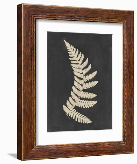 Linen Fern IV-Vision Studio-Framed Art Print