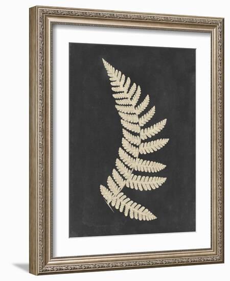 Linen Fern IV-Vision Studio-Framed Art Print