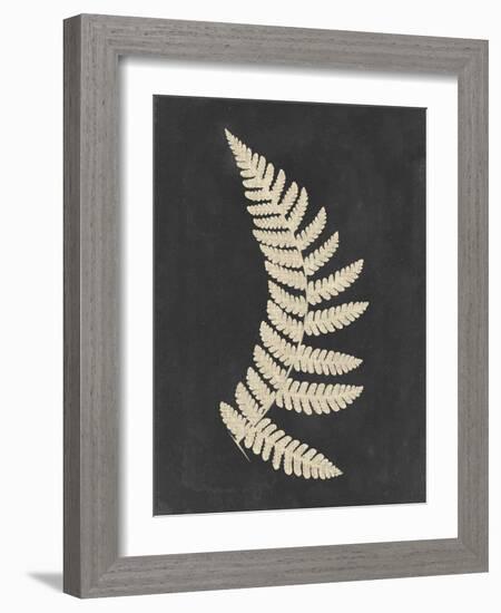 Linen Fern IV-Vision Studio-Framed Art Print