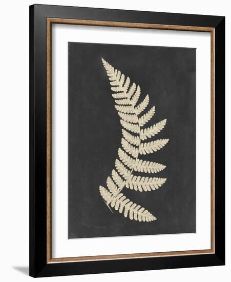 Linen Fern IV-Vision Studio-Framed Art Print