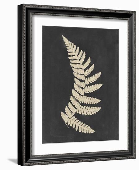 Linen Fern IV-Vision Studio-Framed Art Print