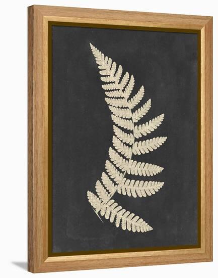 Linen Fern IV-Vision Studio-Framed Stretched Canvas