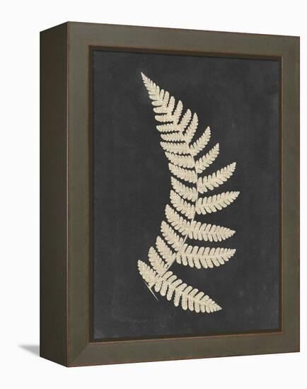 Linen Fern IV-Vision Studio-Framed Stretched Canvas