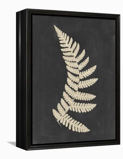 Linen Fern IV-Vision Studio-Framed Stretched Canvas